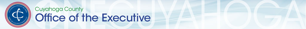 fitzgerald logo
