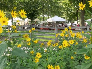Village Peddler photo - flowers (3)