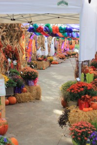 Around Funfest 2