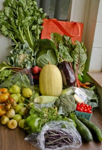large_veg_example
