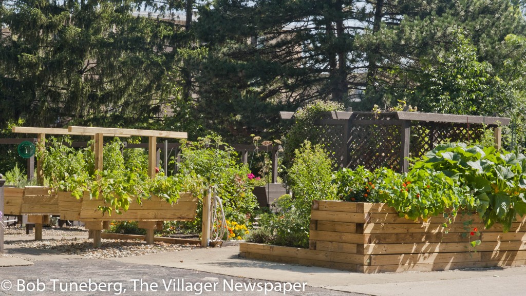 Raised beds make it easy to garden