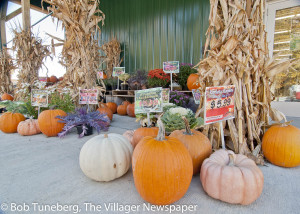 Seasonal scene at Avon Landmark