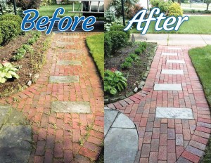 perfect-power-wash-pic