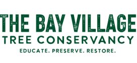 Fall Is Tree Time in Bay Village