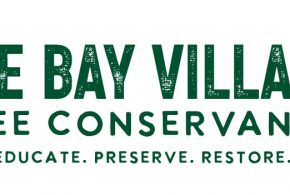 Fall Is Tree Time in Bay Village