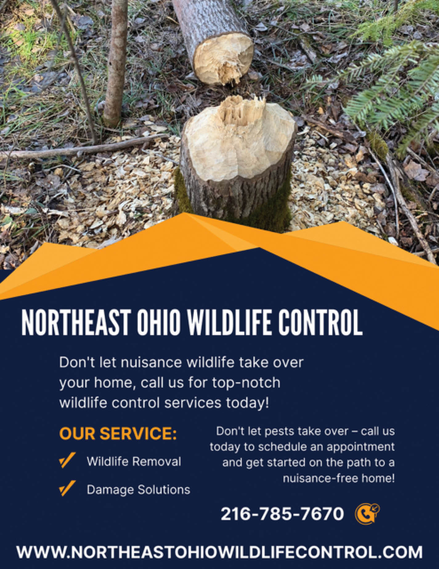 121125-NortheastOhioWildlifeControl - The Villager Newspaper Online