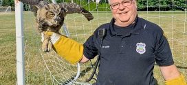Retrospective: Westlake Animal Control Officer Jim Wang Retires